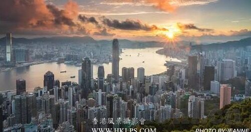 森林舞会官方免费下载-森林舞会，一场自然与音乐的浪漫邂逅